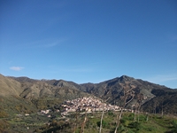 Monte Mojo